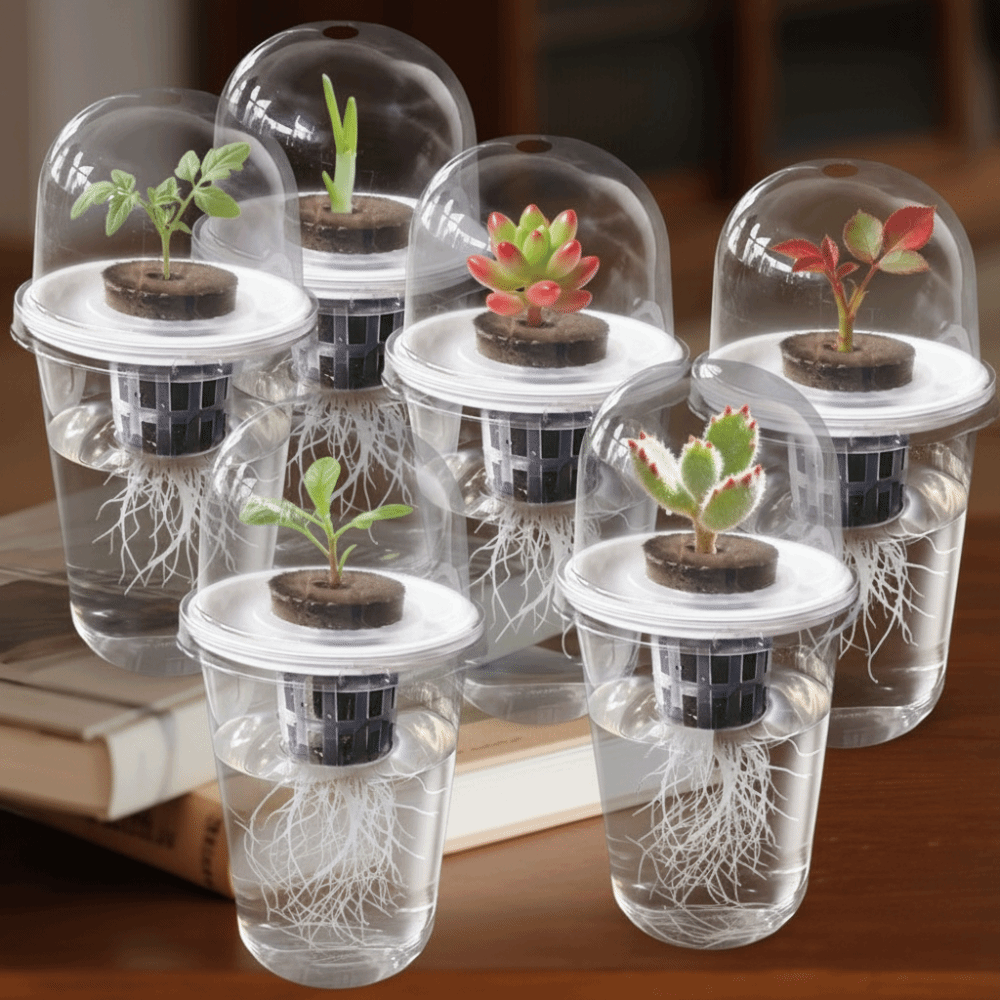 Net Pot 3 Inch - 1-5pc Visible Clear Plants Germination Cup