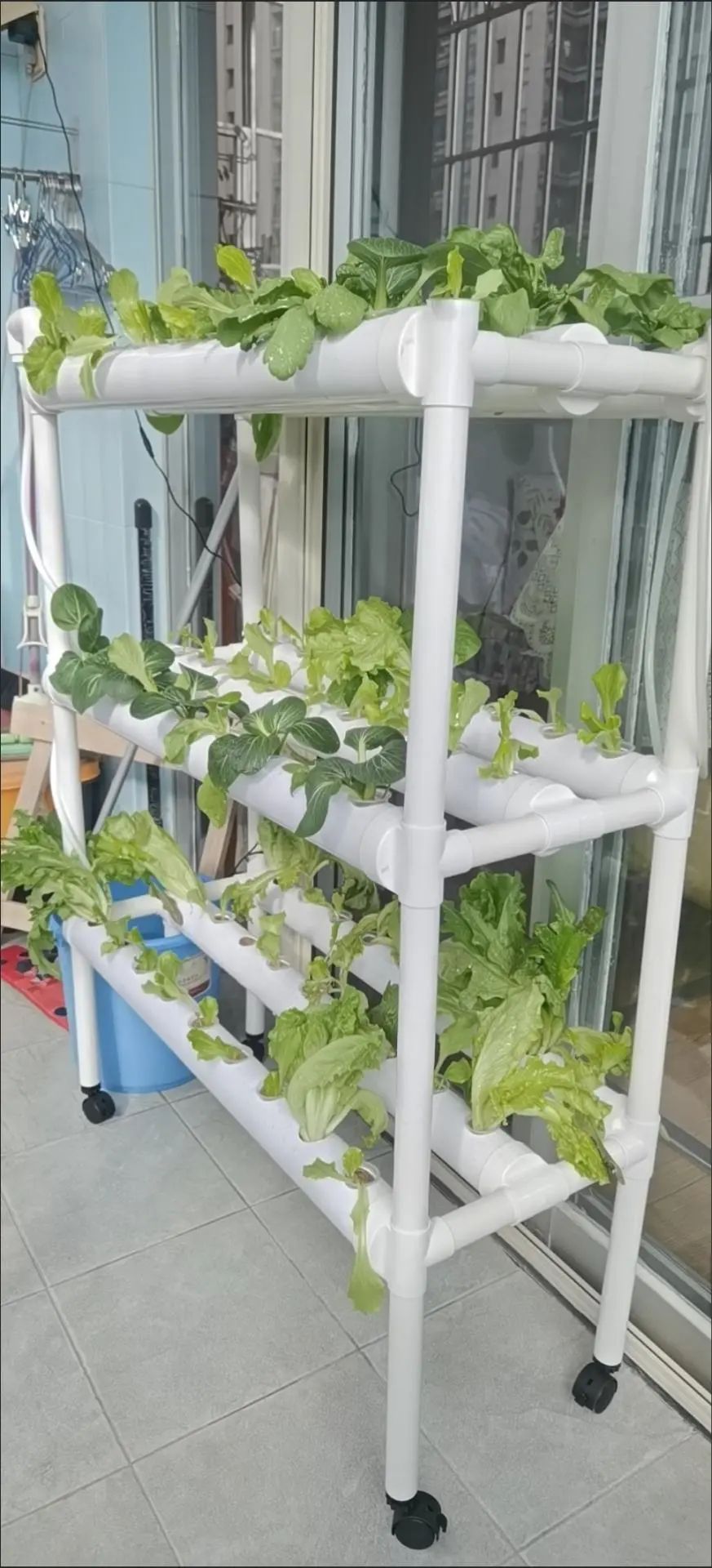 China Grow Tent Indoor Plants  - Grow Tent 4X4 评论和价格
