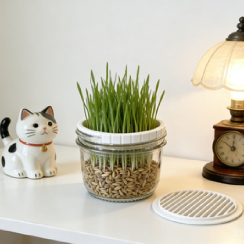 Minimalist White Cat Grass Gro - Net Pot 3 Inch 评论和价格