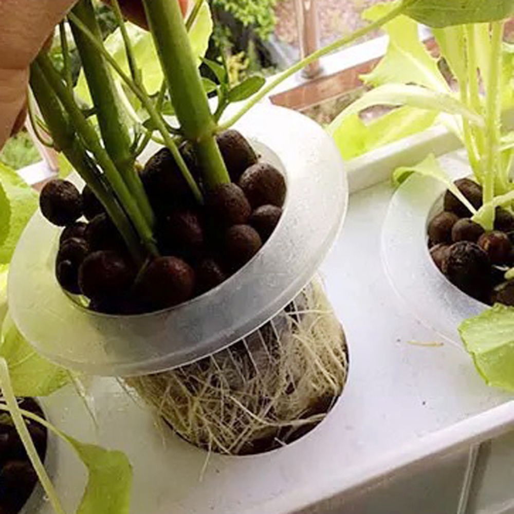 10Pcs Hydroponic Mesh Cups Gar - Net Pot 3 Inch 评论和价格