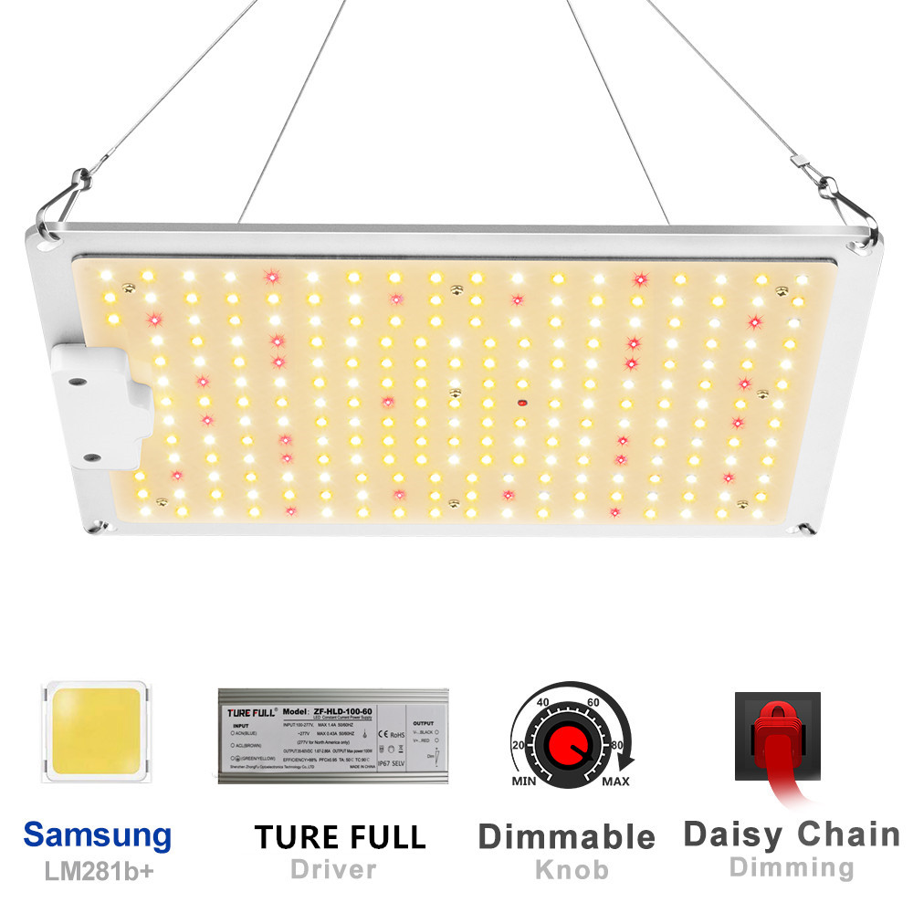 Grow Tent Growbox Hydroponics  - Grow Tent 4X4 评论和价格