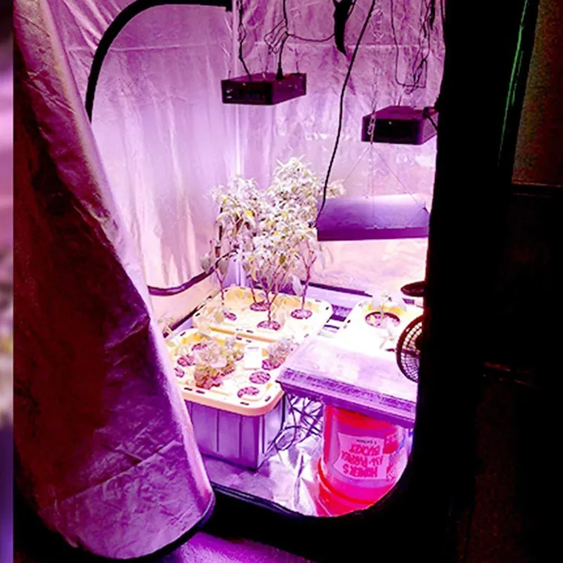 New Trend Grow Tent 4x4 for In - Grow Tent 4X4 评论和价格