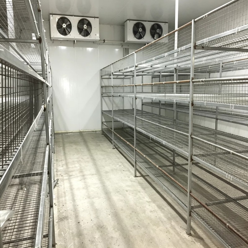 Hydroponic Container Farm with - Urban Farming Project 评论和价格