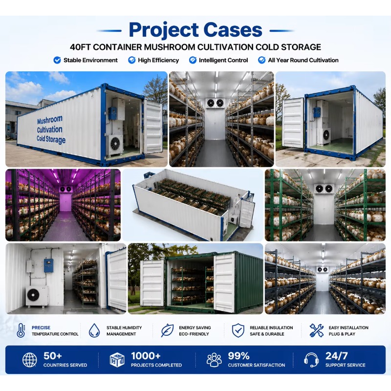 Hydroponic Container Farm with - Urban Farming Project 评论和价格