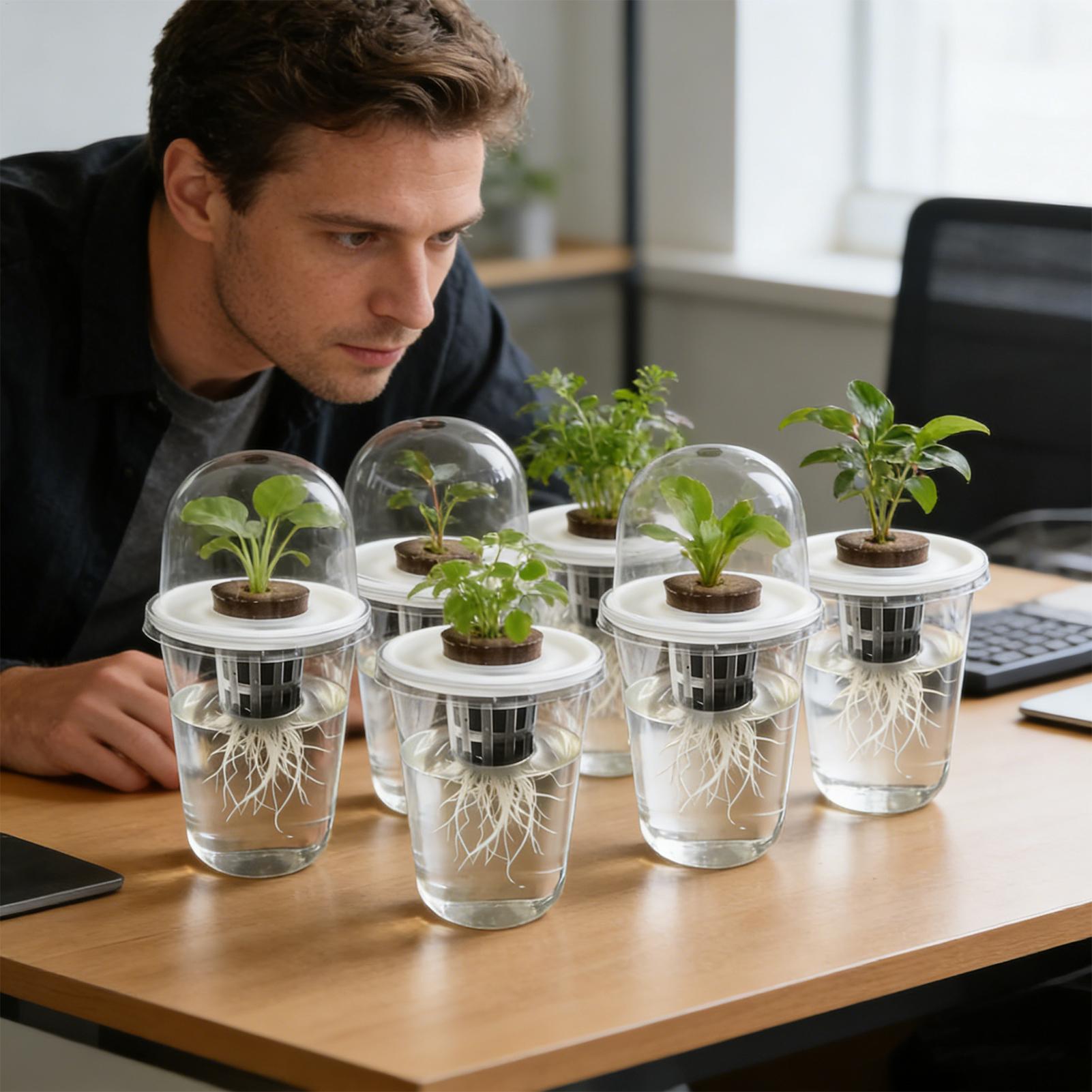 1-5pc Visible Clear Plants Ger - Net Pot 3 Inch 评论和价格