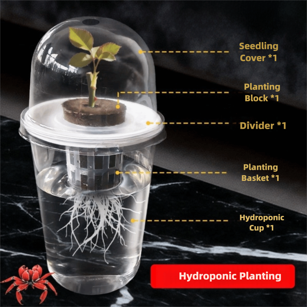 1-5pc Visible Clear Plants Ger - Net Pot 3 Inch 评论和价格