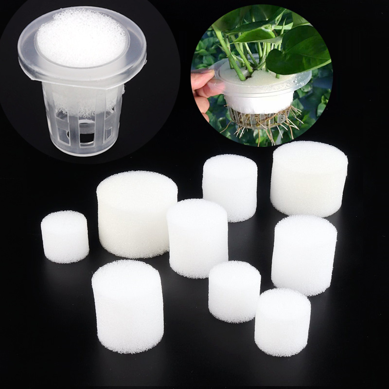 50pcs White Mesh Cup Sponge Ga - Net Pot 3 Inch 评论和价格