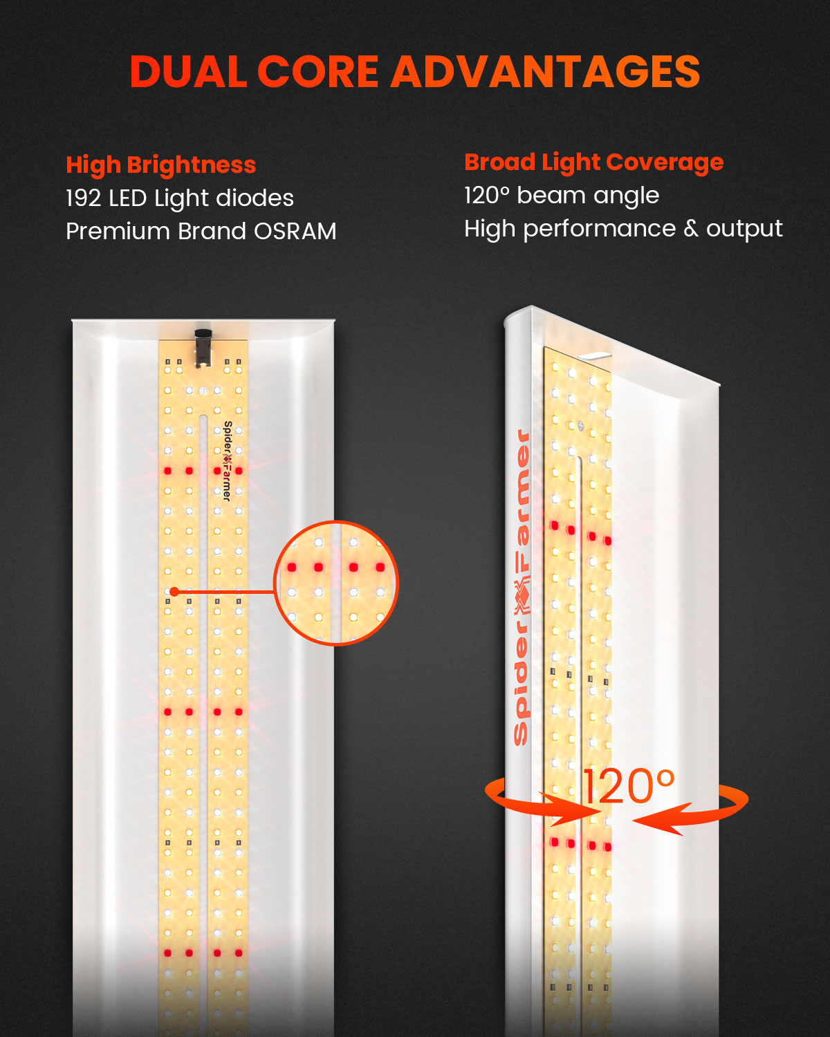 Spider Farmer SF300 LED Grow L - Grow Tent 4X4 评论和价格