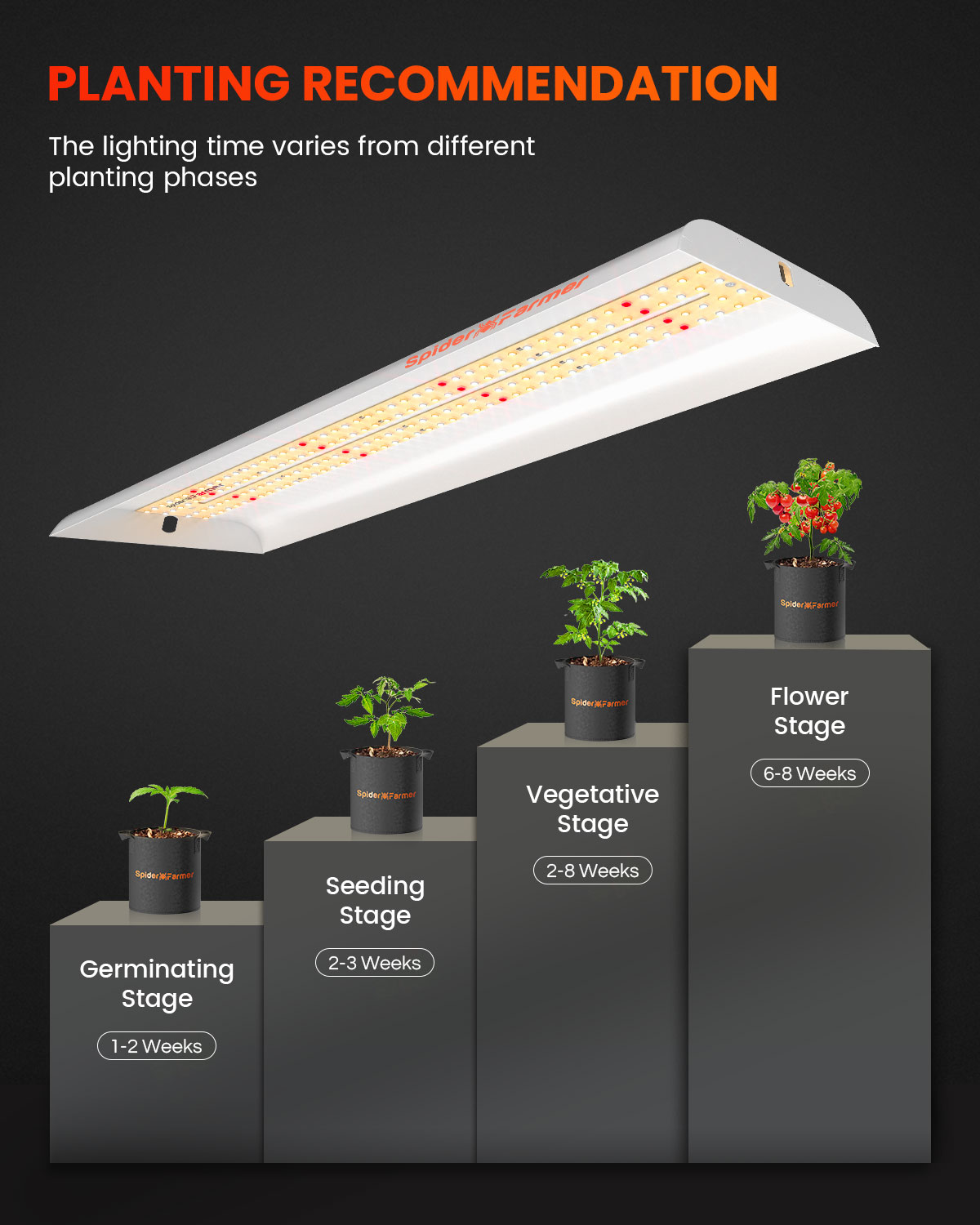 Spider Farmer SF300 LED Grow L - Grow Tent 4X4 评论和价格